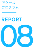 report_mark