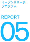 report_mark